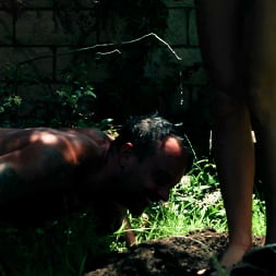 Gardener